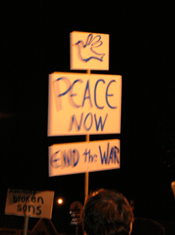 Peace Vigil Battle Creek, Michigan